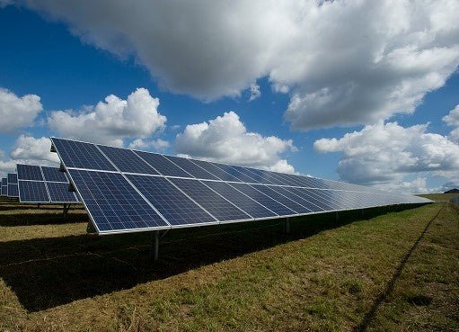 9 Things That Aren't As Sustainable: Sustainable Living Guide - Dwij