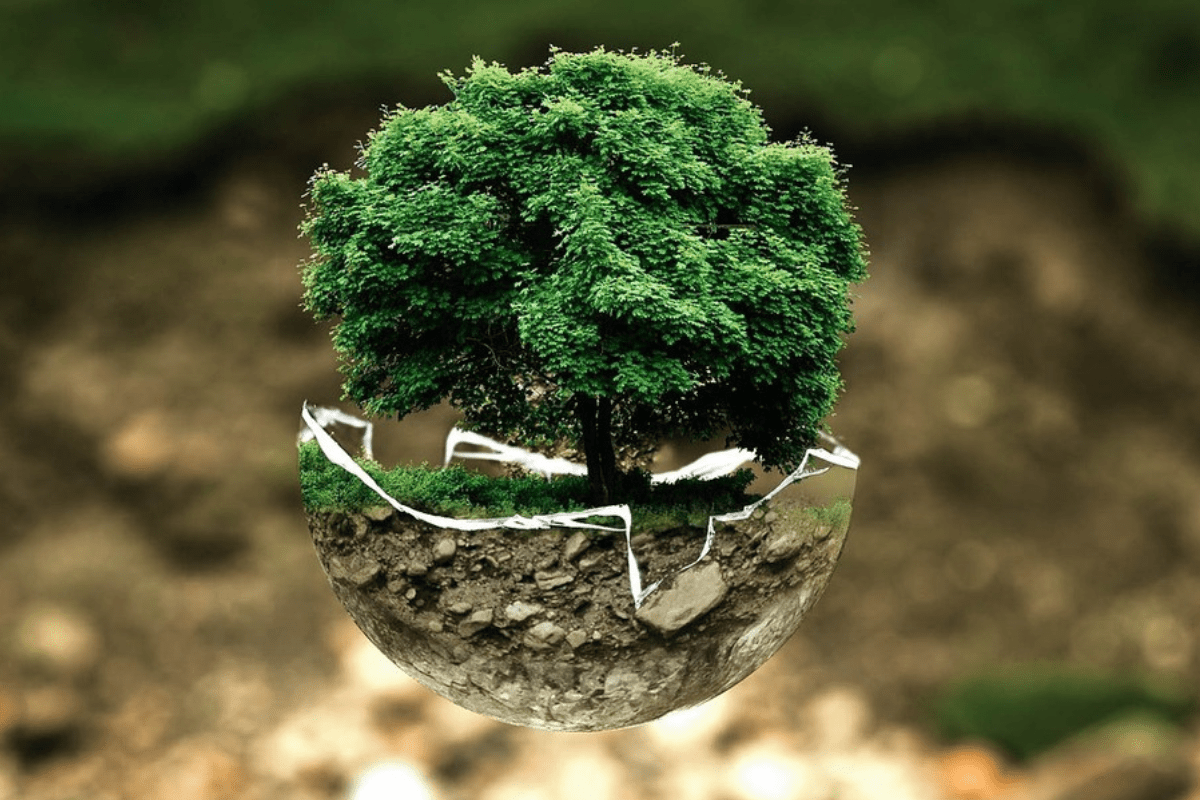 Why We Believe Upcycling Is The Future of Sustainable Fashion? - Dwij