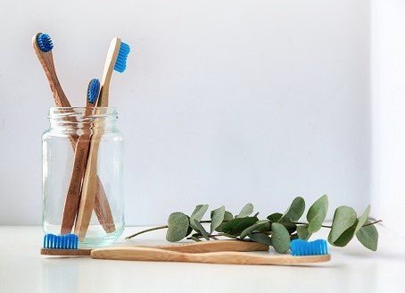 7 Steps Towards Sustainable Living: Part 1 - Dwij