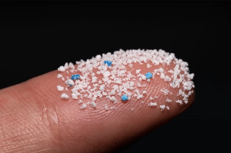 How do micro plastics find their way into the food chain & affect Human Health? - Dwij