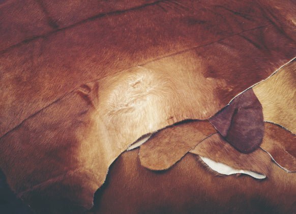 If animal leather is cruel, what about vegan faux leather? - Dwij