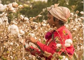 The Evolution of Denim: Sustainable Alternatives Worth Trying: Organic Denim - Dwij