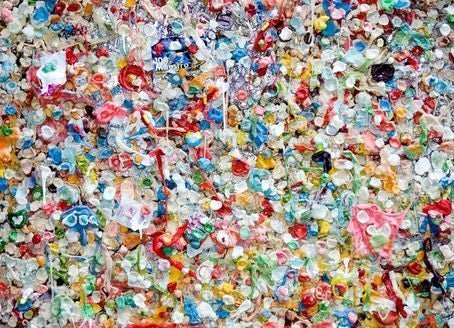 Want to live sustainably? Not sure where to start? Here are the top 5 swaps to give you a head start - Dwij