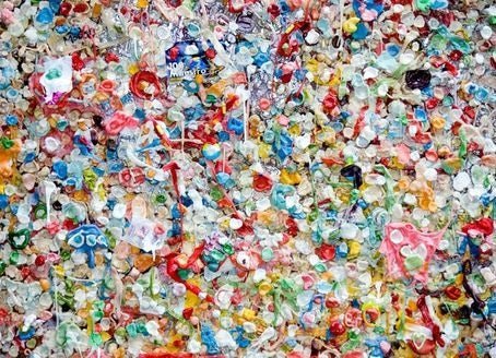 Want to live sustainably? Not sure where to start? Here are the top 5 swaps to give you a head start - Dwij