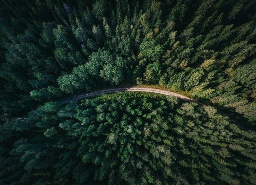 What Is Greenhushing? The Environmental Hazard - Dwij