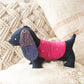 Hand embroidered Upcycled Jeans Toy- Dachshund Dog